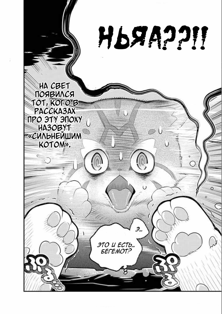 S-Rank Monster no "Behemoth" dakedo, Neko to Machigawarete Elf Musume no Pet to Shite Kurashitemasu Перерождение 第9页