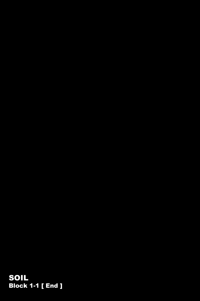Soil Block 1-1 [Salt] 第41页
