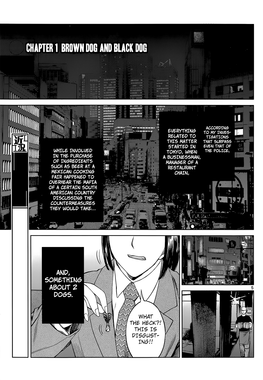 Destro 246 第5页