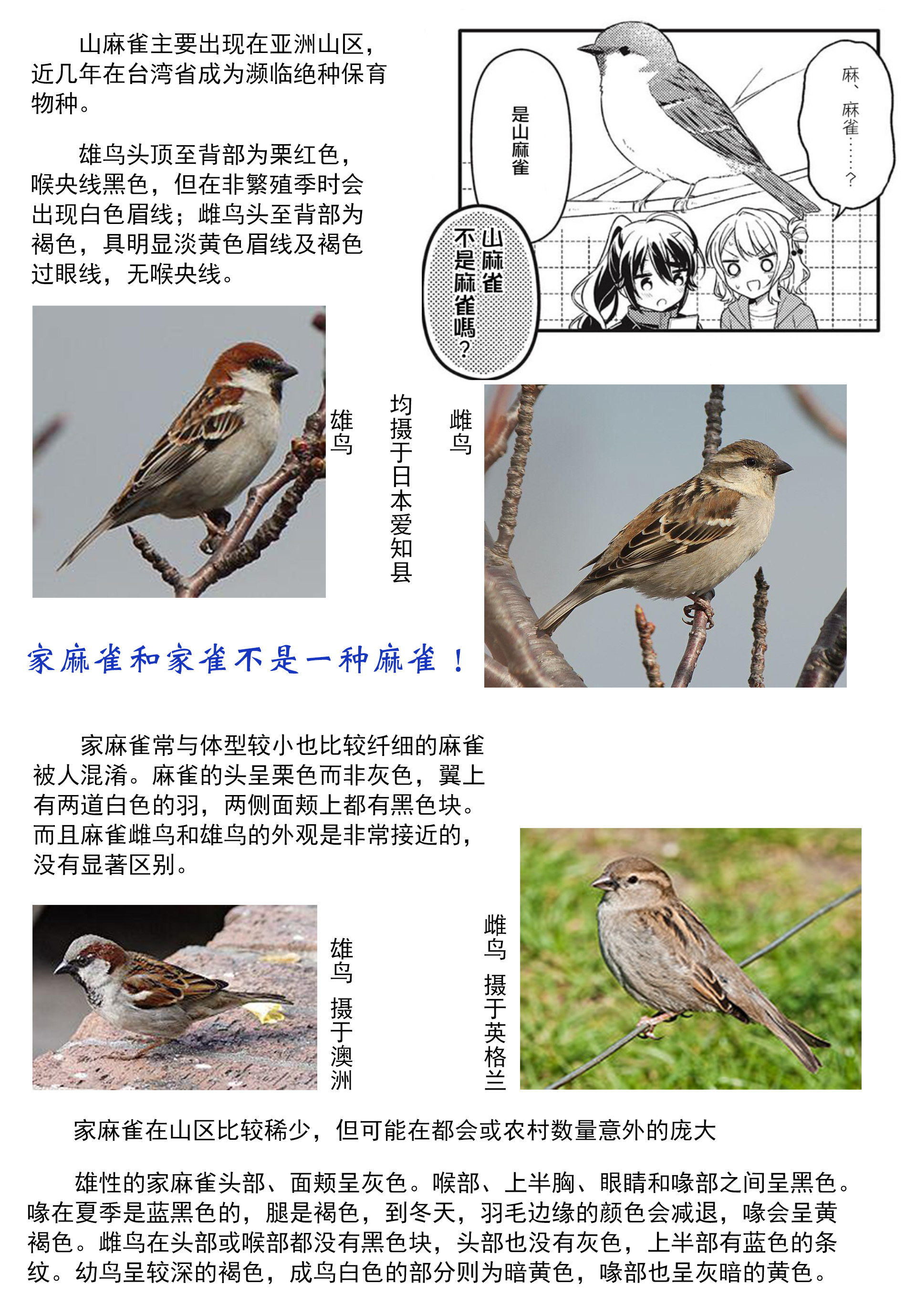 Shiawase Tori-mingu Chapter 2 第10页