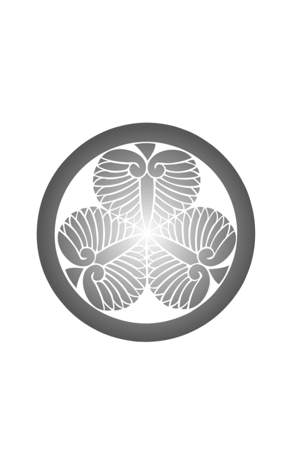 Shadow Warrior: Tokugawa Ieyasu 第5页