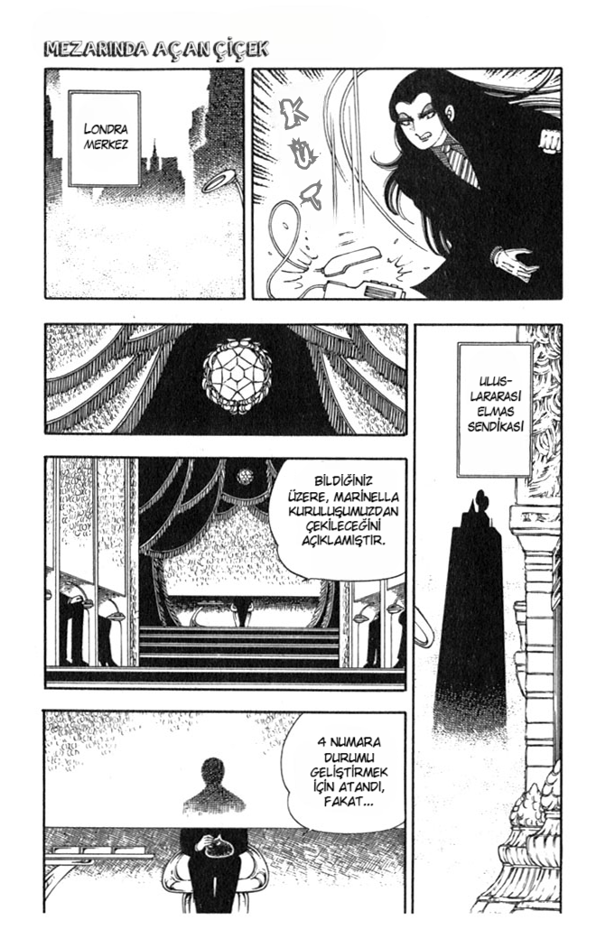 Patalliro! Mezarında Açan Çiçek 第34页