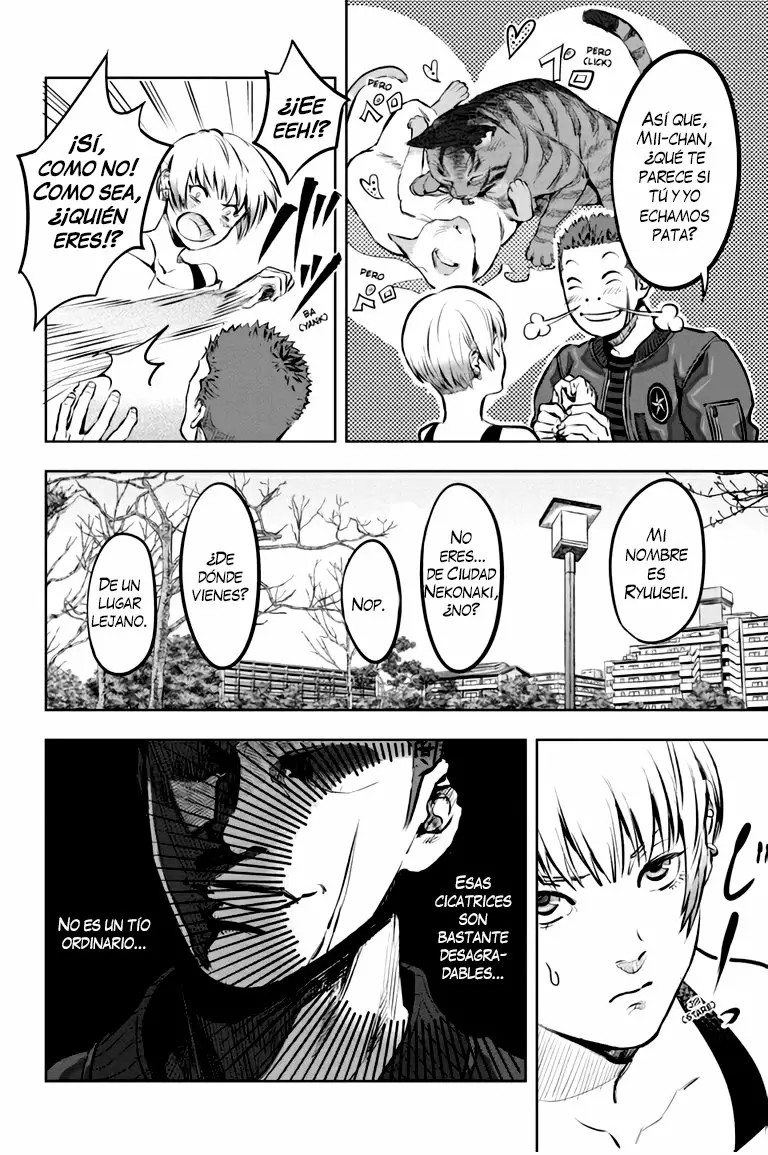 Nyankees Vol. 1 Ch. 1 第17页