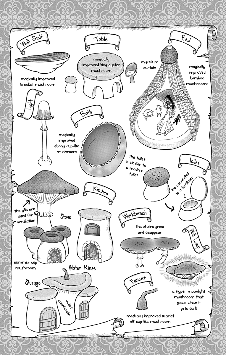Champignon no Majo A Picture of a Boy 第46页
