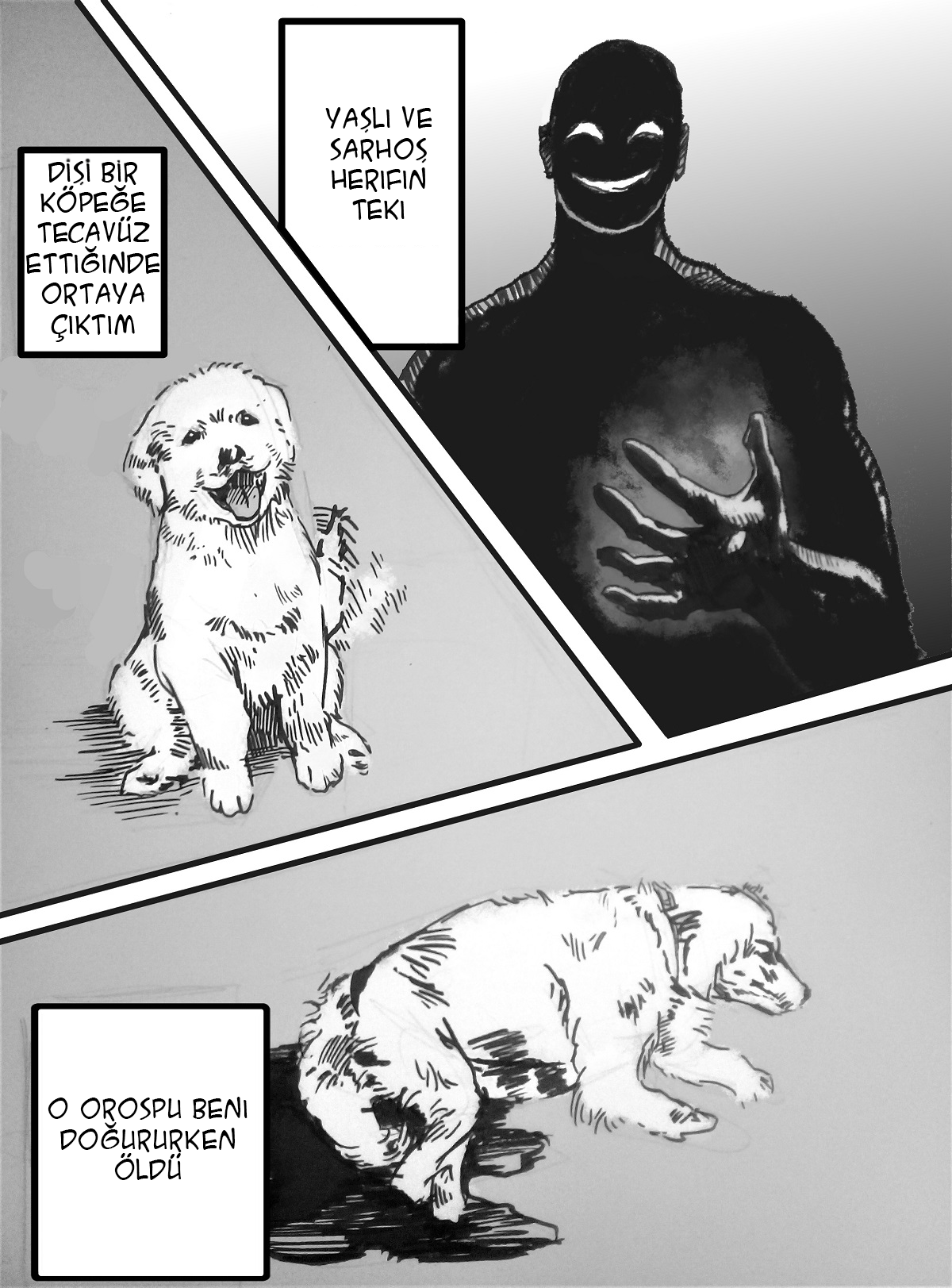 Dog Nigga Hikayem 第6页