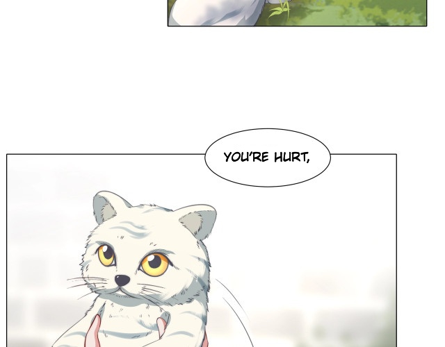 Survival Methods of the Cannon Fodder Daughter Not Again 第50页