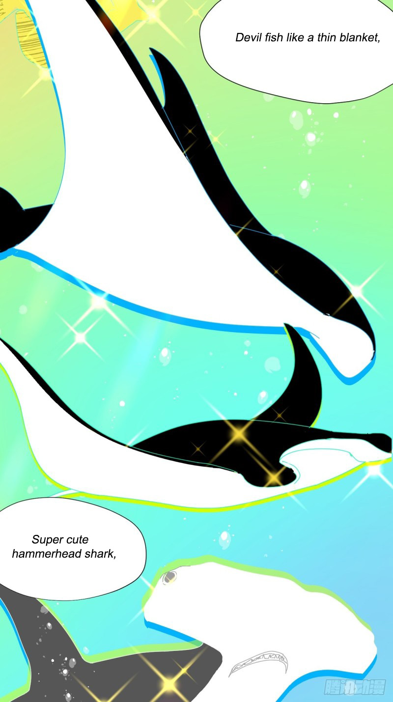 Black-backed albatross Nature accepts them 第32页