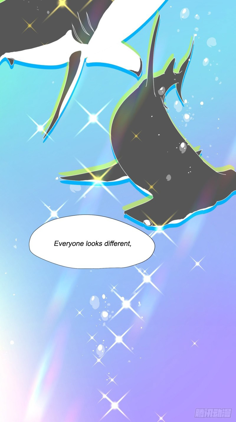 Black-backed albatross Nature accepts them 第33页