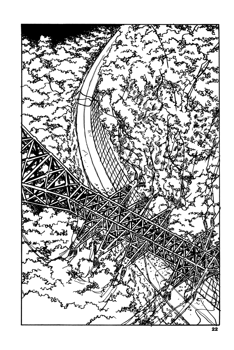 Soil Prologue 第19页