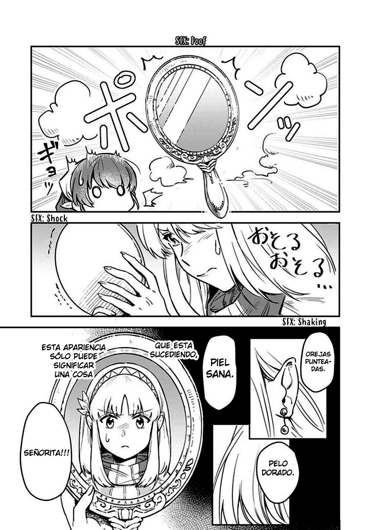Leadale no Daichi nite Comprendiendo la situación 第11页