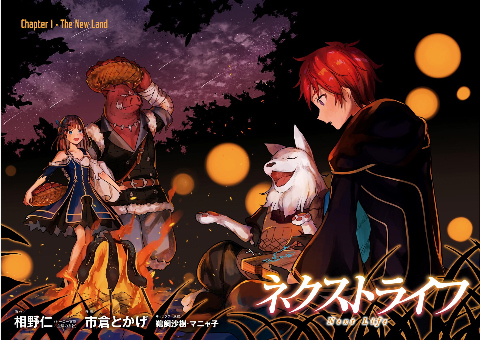Next Life The New Land 第3页