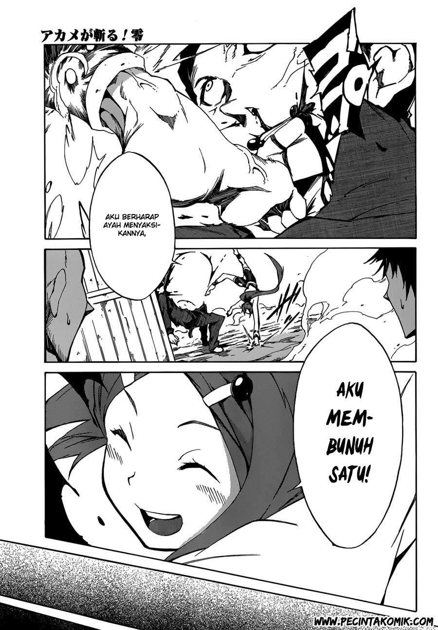 Akame ga KILL! Zero Dua Gadis 第44页