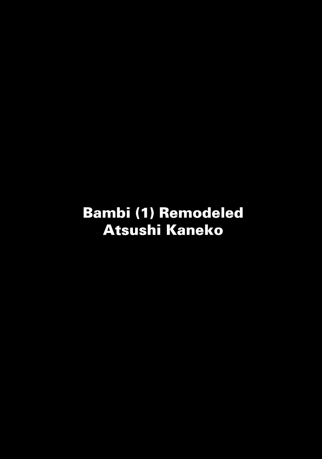 BAMBi remodeled 第5页