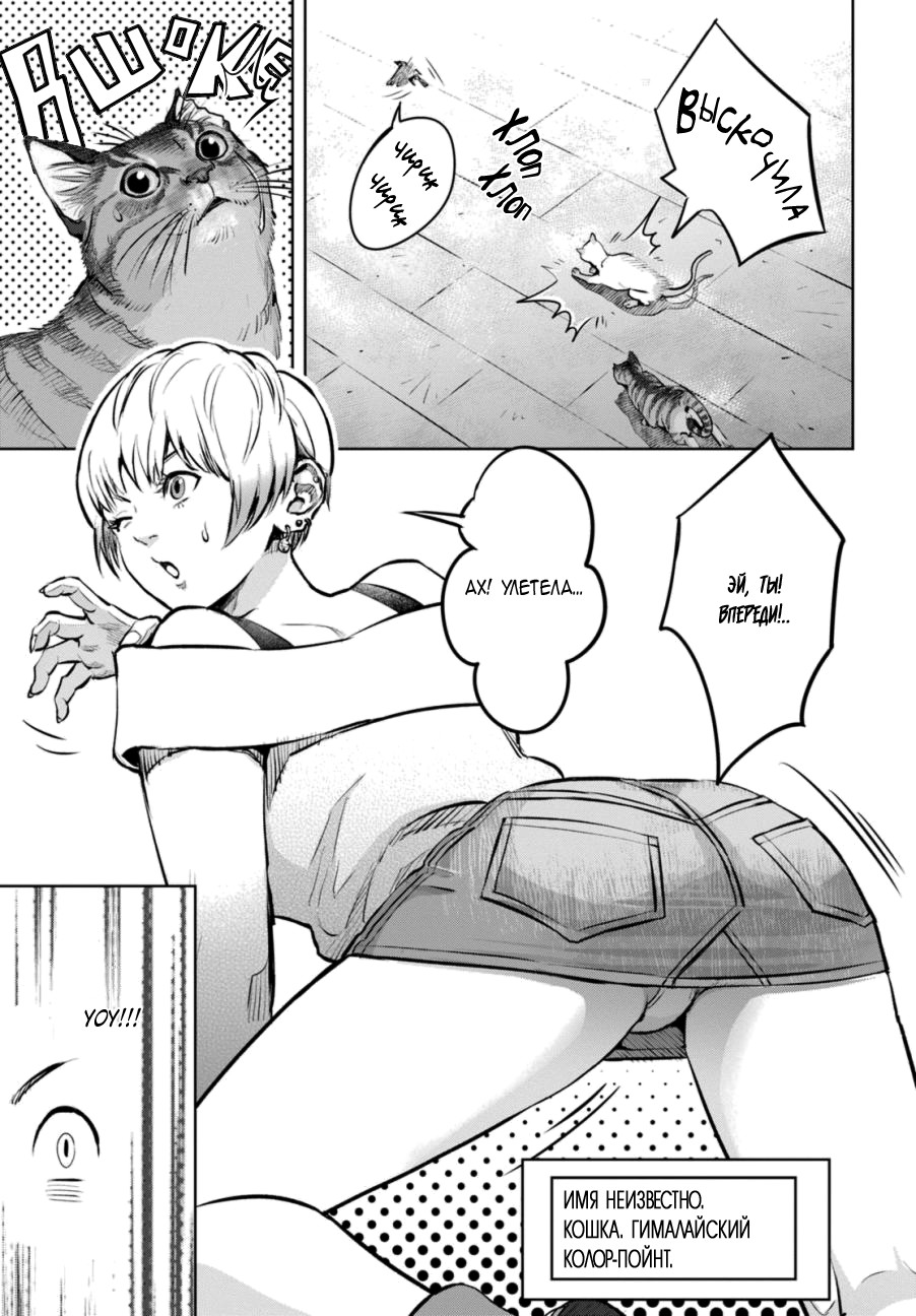 Nyankees Его имяу... 第14页