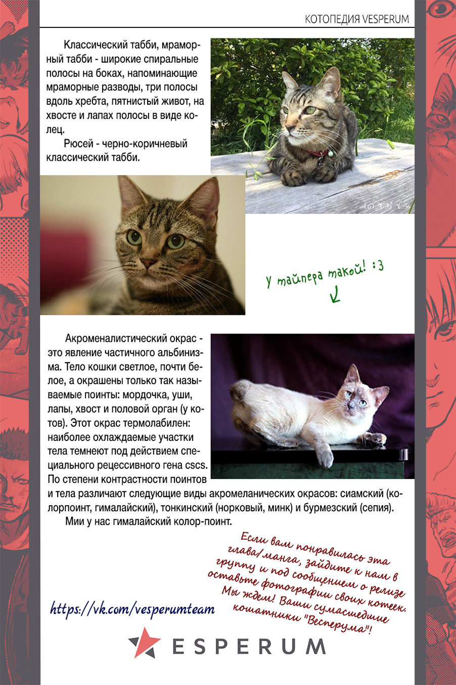 Nyankees Его имяу... 第47页