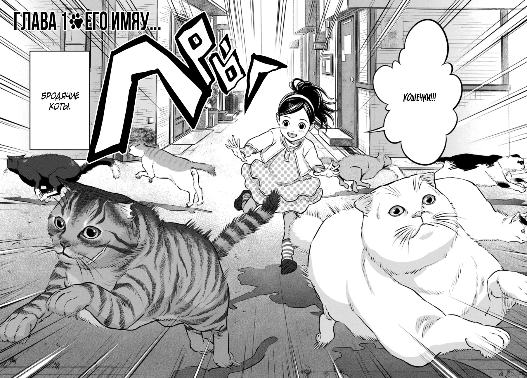 Nyankees 第8页