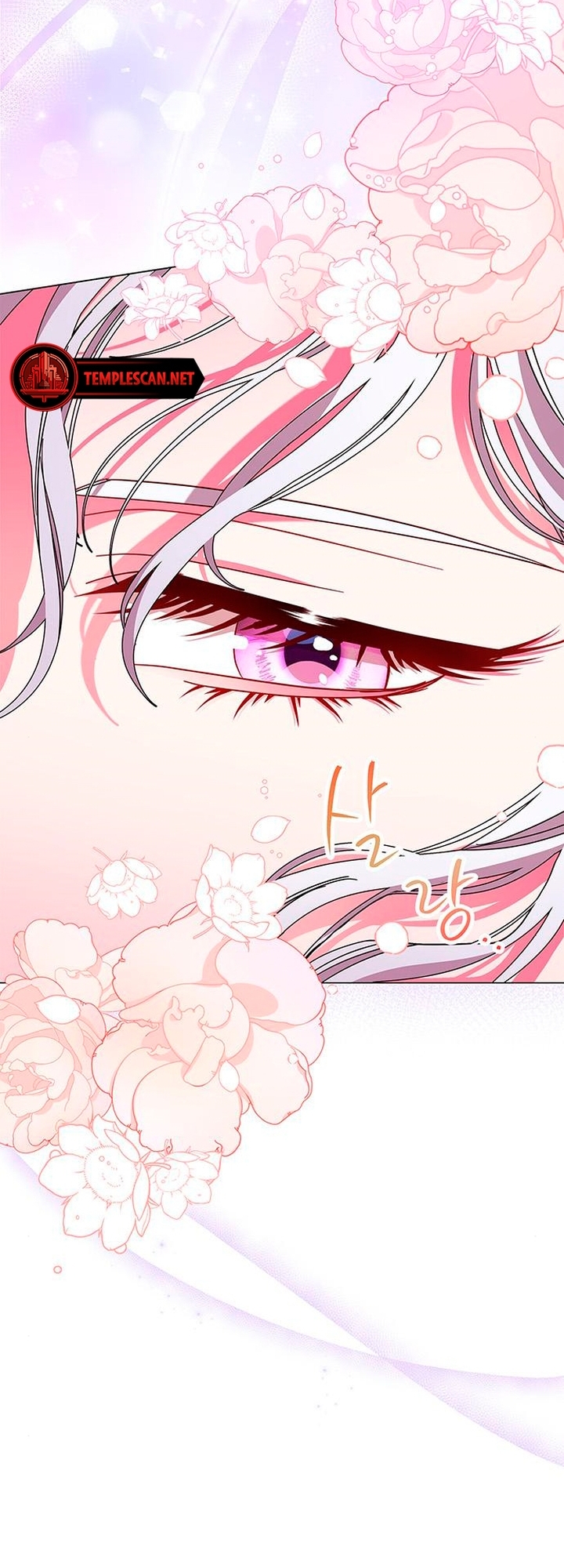 I Became the Mother of the Evil Male Lead Ch. 4 第77页