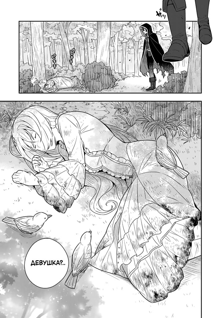 Konyaku Haki Sareta Reijou wo Hirotta Ore ga, Ikenai Koto wo Oshiekomu ~Oishii Mono wo Tabesasete Oshare wo Sasete, Sekaiichi Shiawase na Shoujo ni Produce!~ Злой маг приручает злонравную женщину?! (часть 1) 第12页
