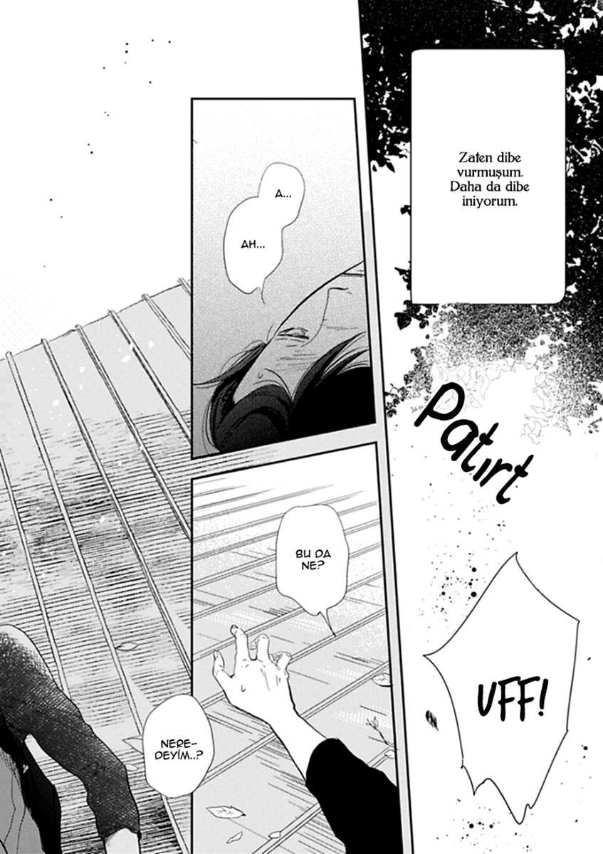 Hidamari ga Kikoeru 第7页