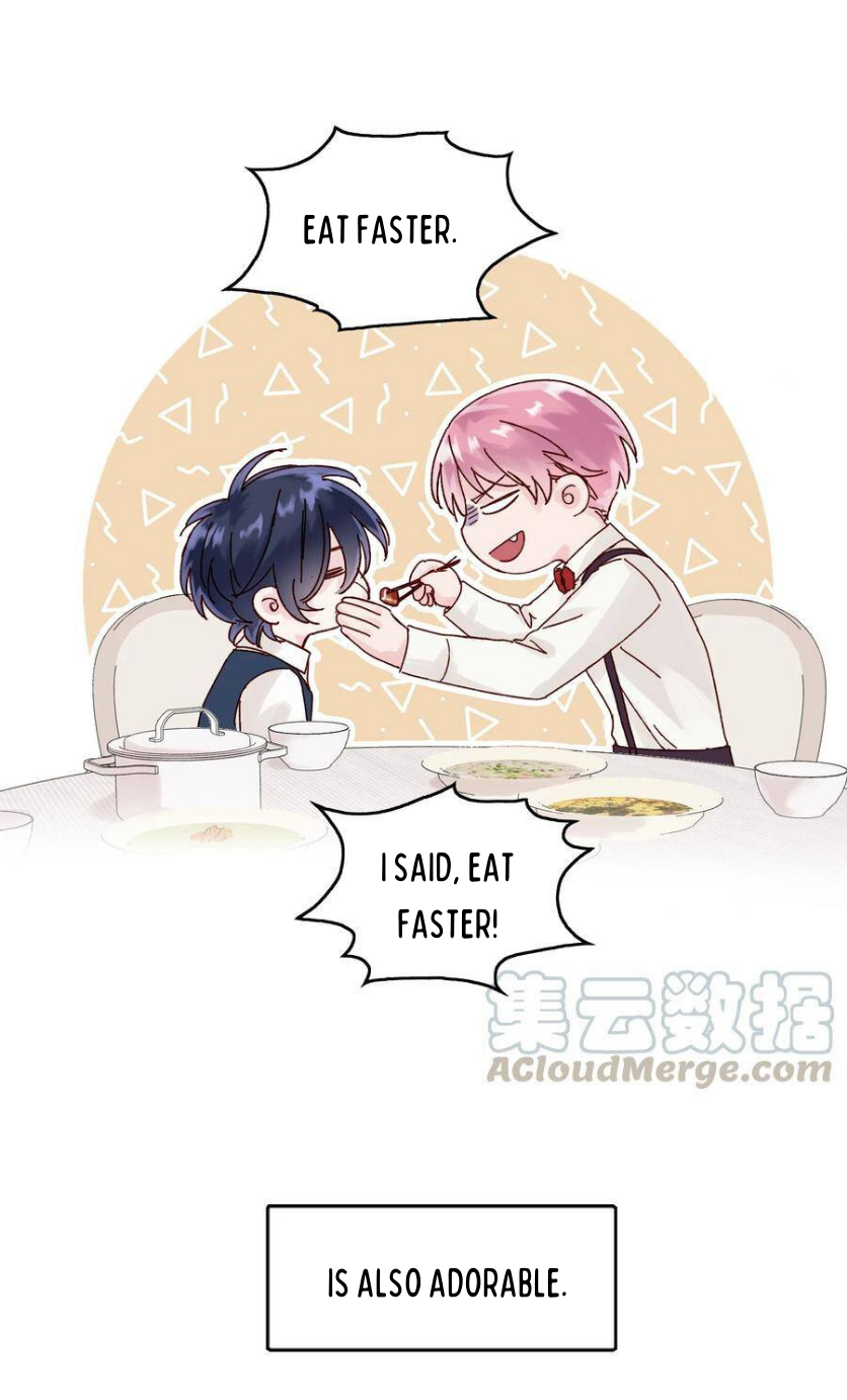 Villain to the Rescue How could I bully my adorable little brother? 第45页
