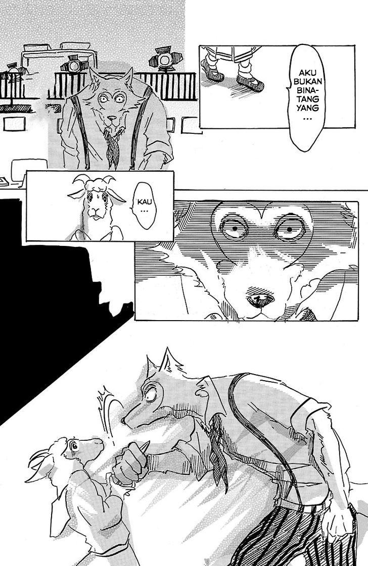 BEASTARS Kala Bulan Purnama, Kutiba Menanya Khabar 第42页