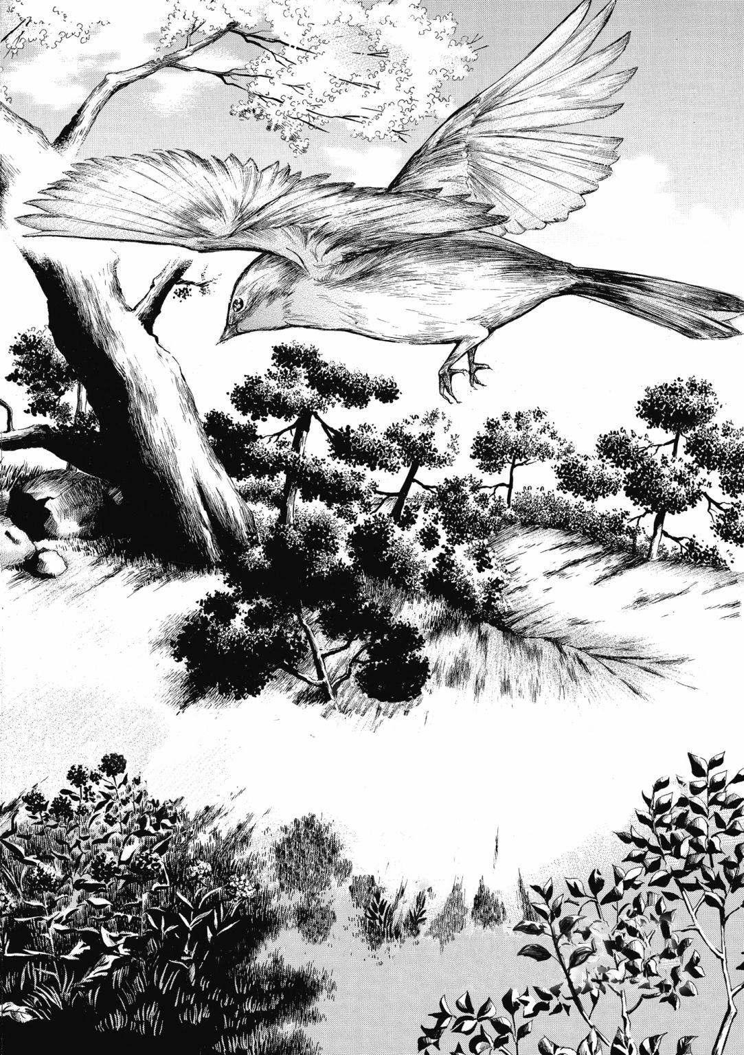Migi & Dali Vol. 1 Ch. 1 第4页