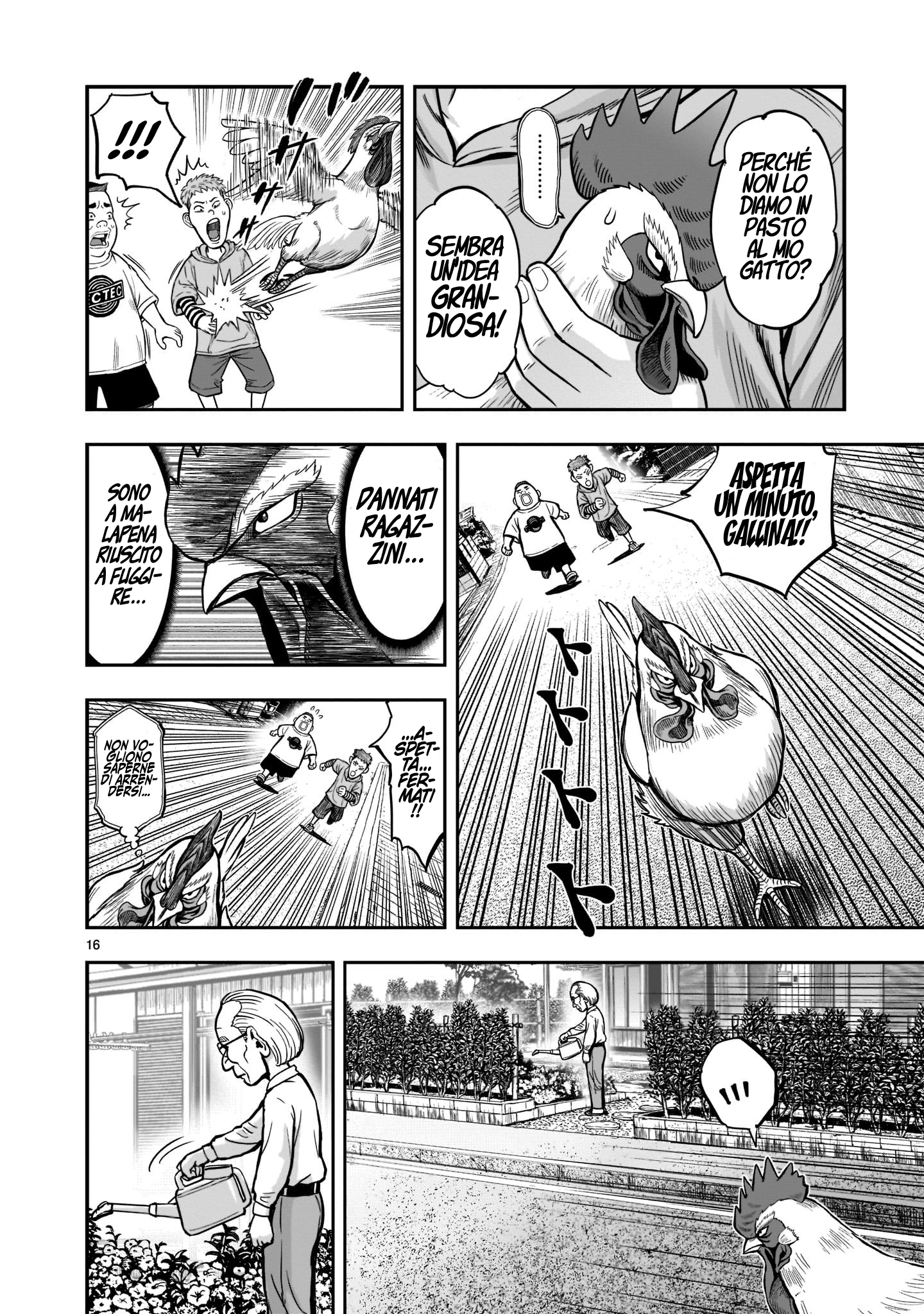 Niwatori Fighter Riunione Caotica 第16页