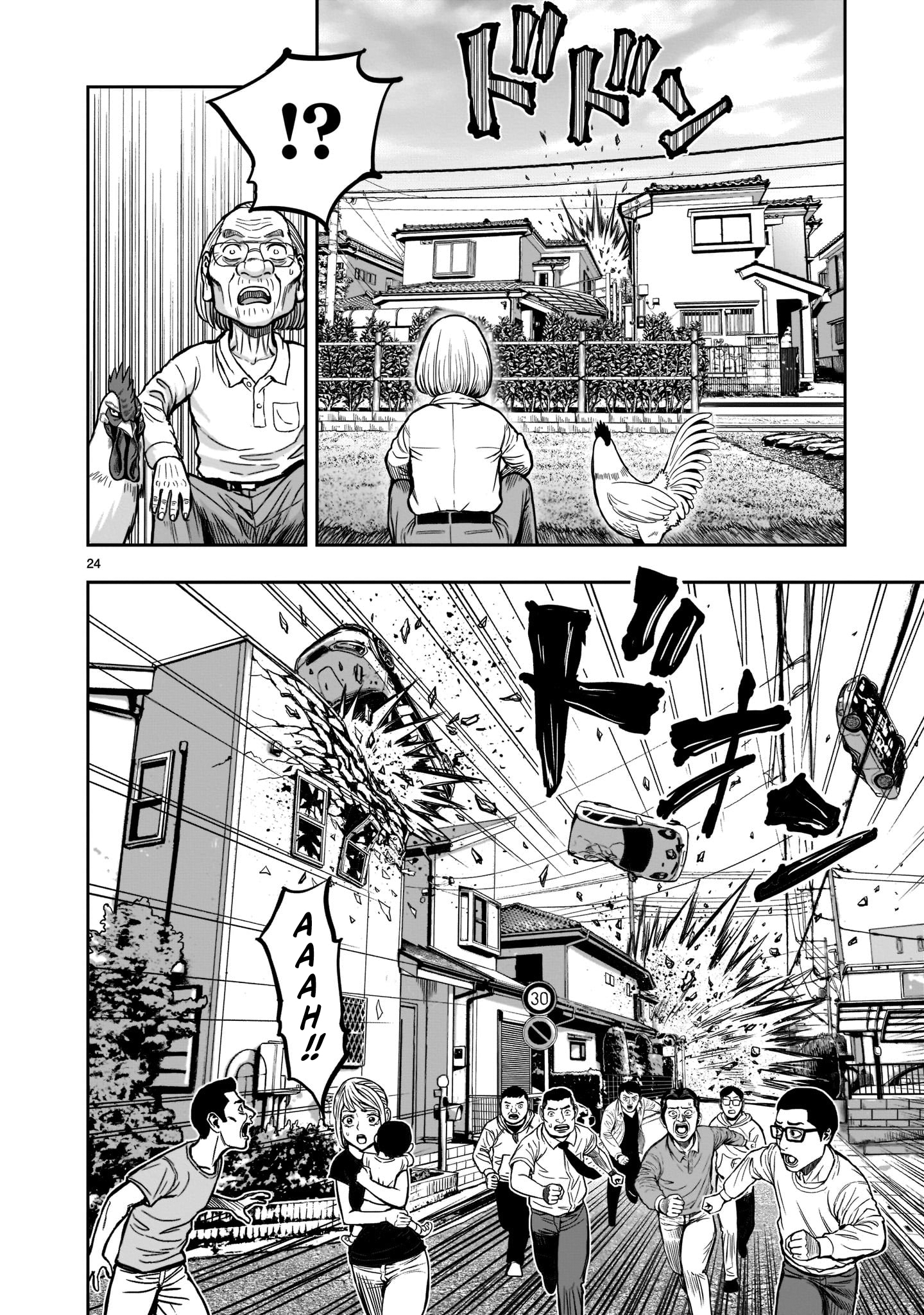 Niwatori Fighter Riunione Caotica 第24页