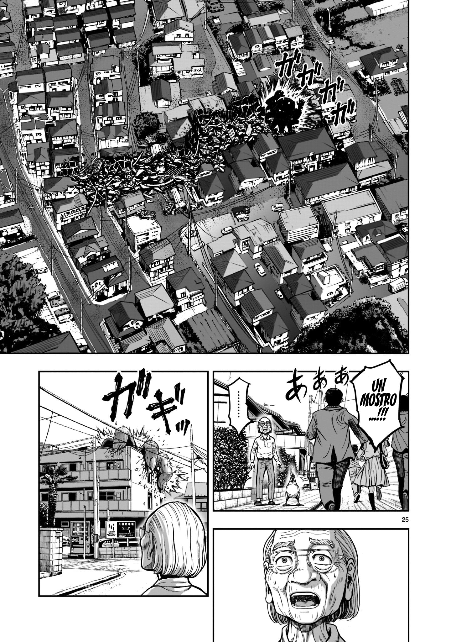 Niwatori Fighter Riunione Caotica 第25页