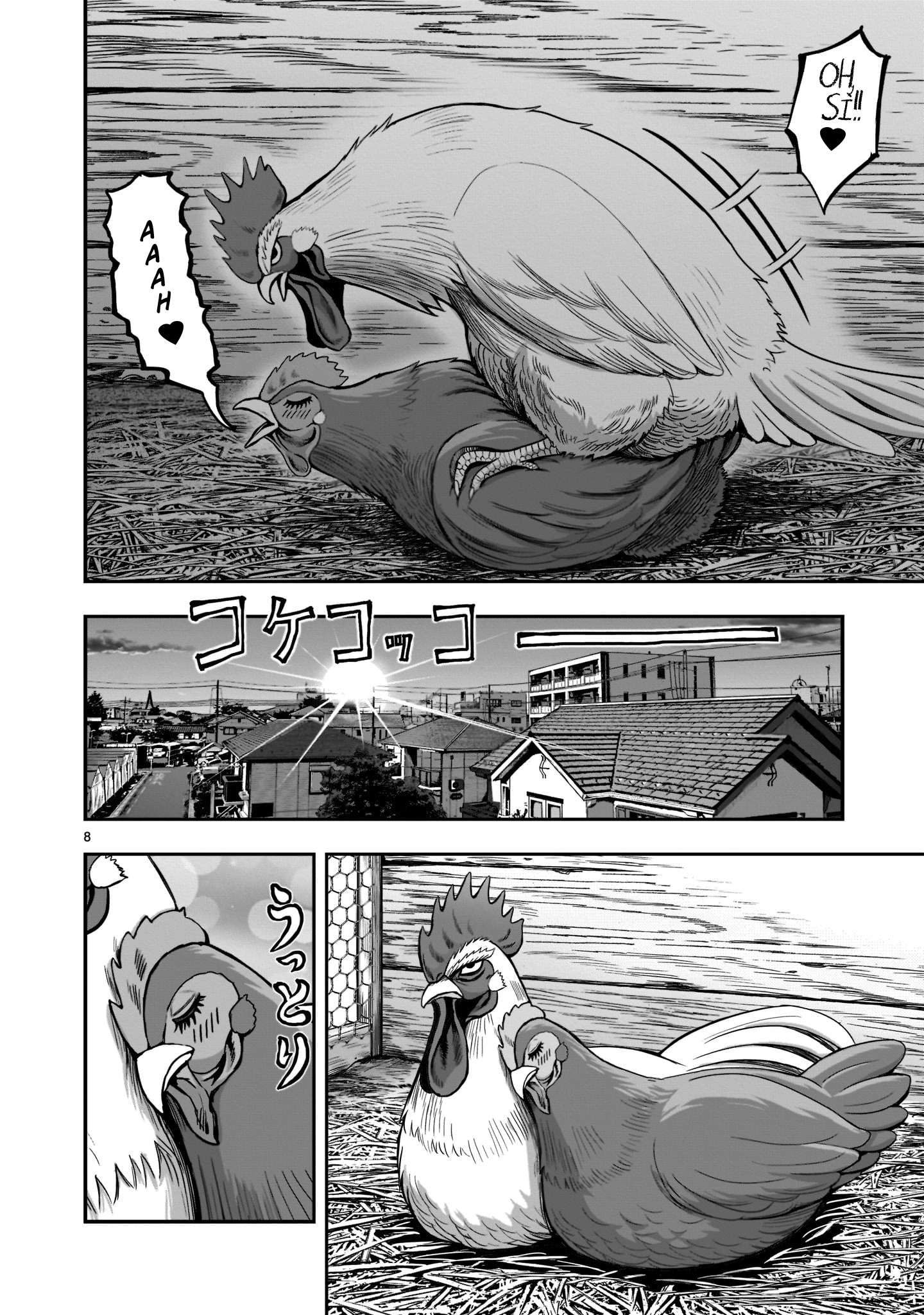 Niwatori Fighter Riunione Caotica 第8页