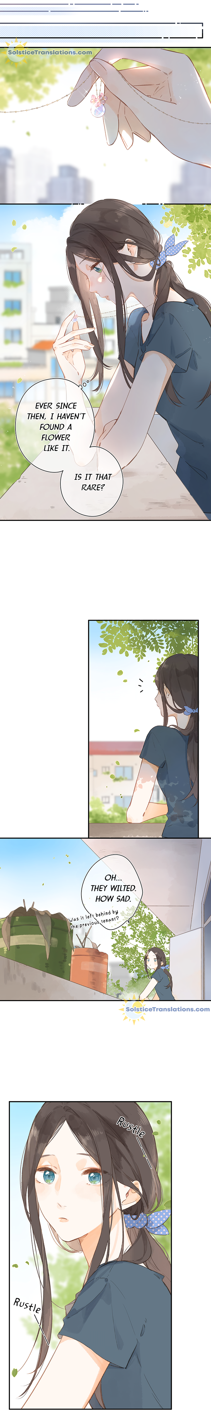 Summer Bloom At The Corner of The Street 第5页
