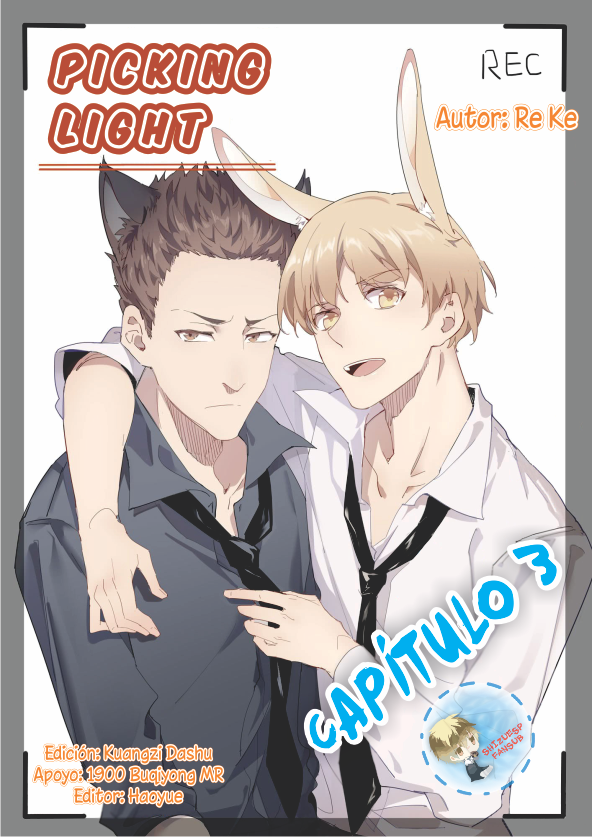 Picking Light PL3 第1页