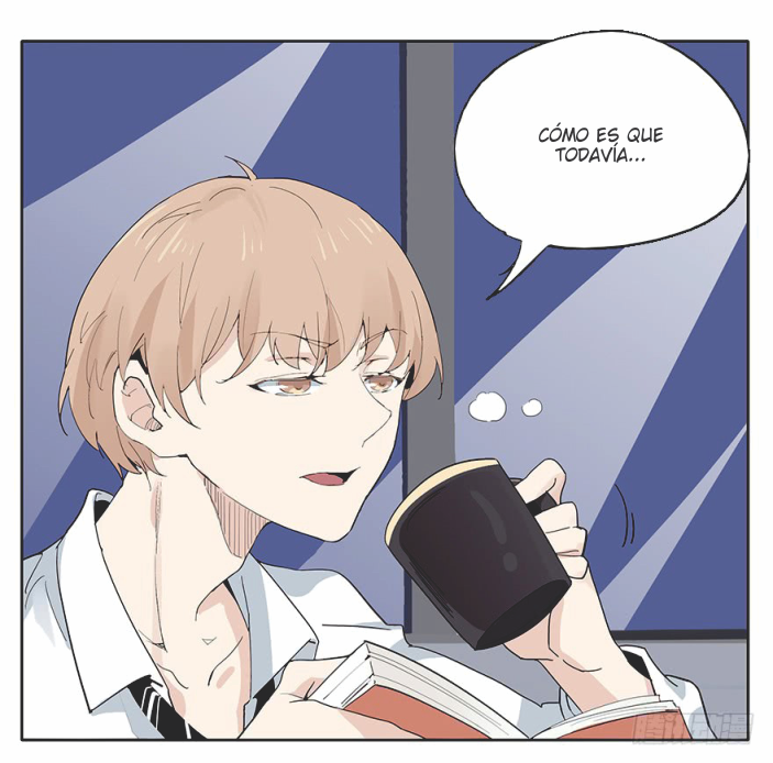 Picking Light PL3 第18页
