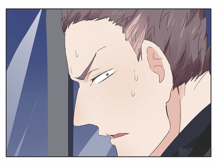Picking Light PL3 第29页