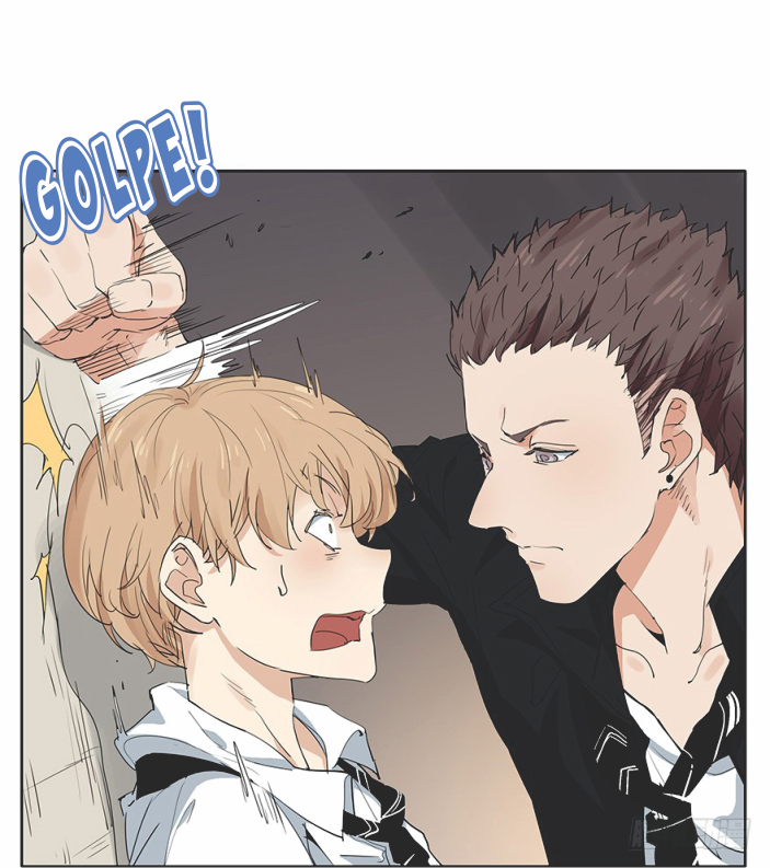Picking Light PL3 第32页