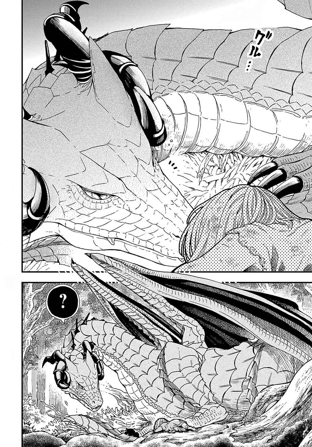 Hone Dragon no Mana Musume The old dragon is not dead yet 第6页