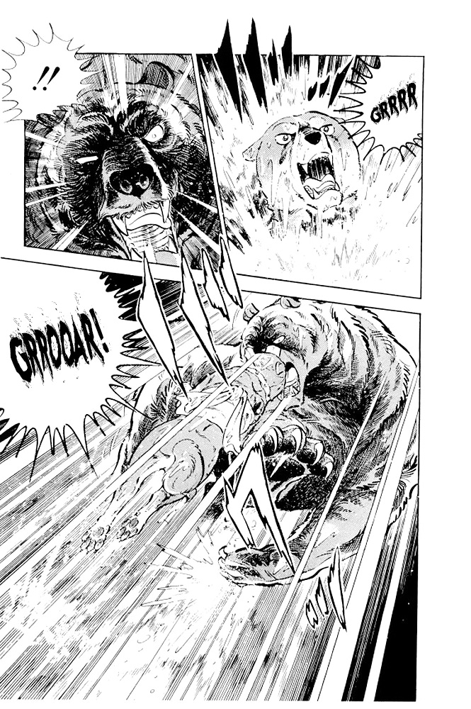Silver Fang – The Shooting Star Gin – Ostatnie chwile Rikiego! 第44页