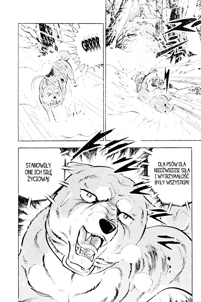 Silver Fang – The Shooting Star Gin – Ostatnie chwile Rikiego! 第49页