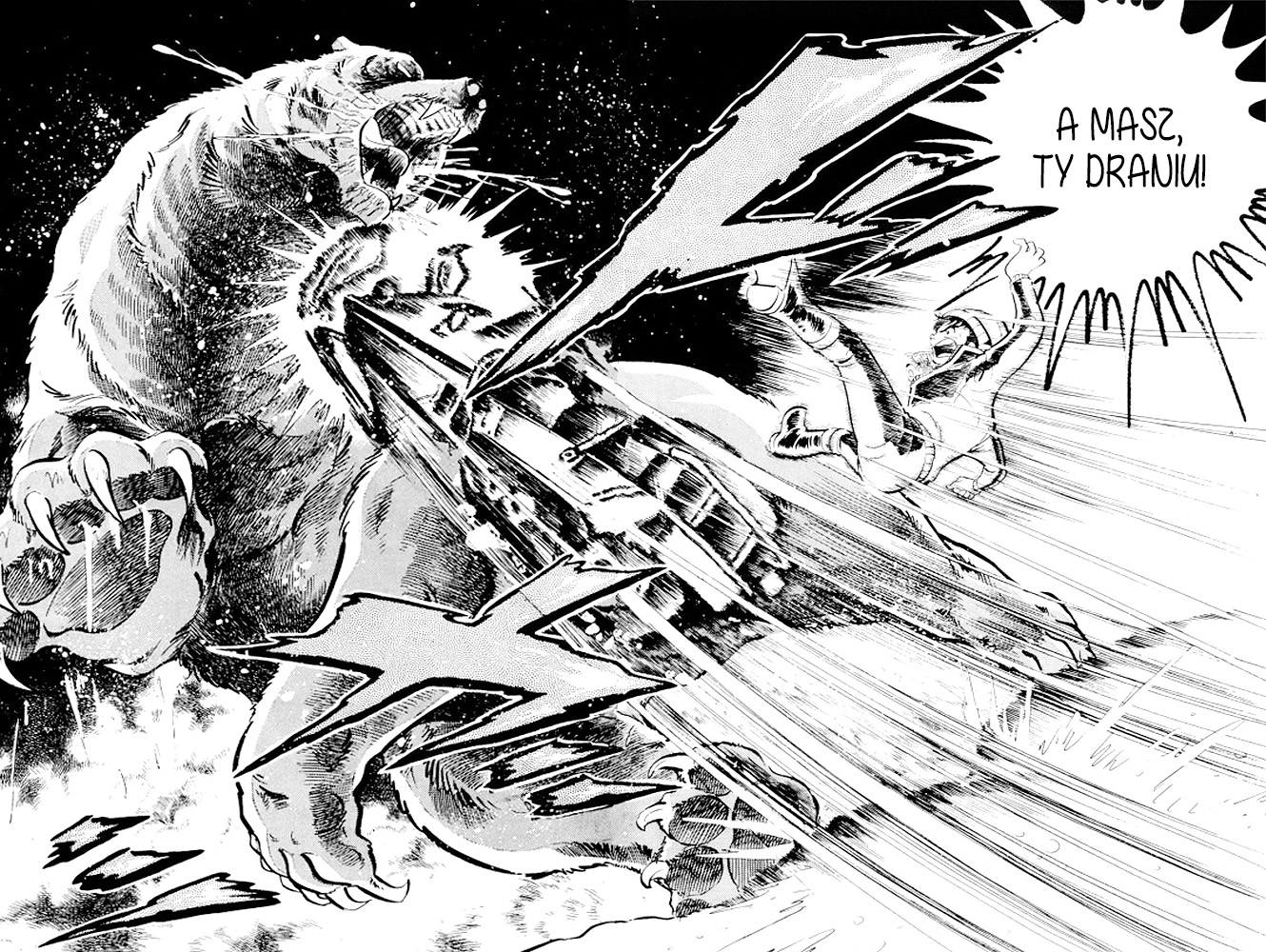 Silver Fang – The Shooting Star Gin – Ostatnie chwile Rikiego! 第53页