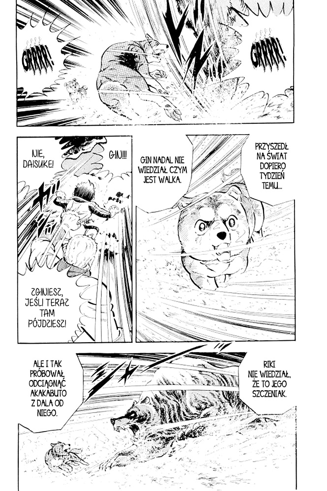 Silver Fang – The Shooting Star Gin – Ostatnie chwile Rikiego! 第59页