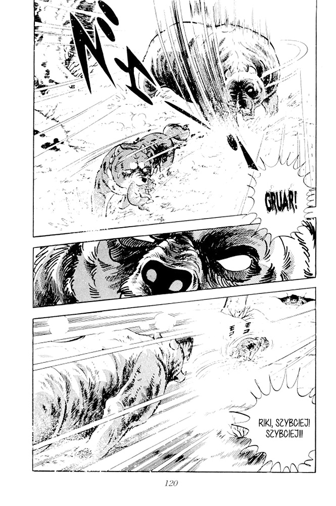 Silver Fang – The Shooting Star Gin – Ostatnie chwile Rikiego! 第62页