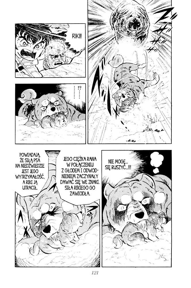 Silver Fang – The Shooting Star Gin – Ostatnie chwile Rikiego! 第63页