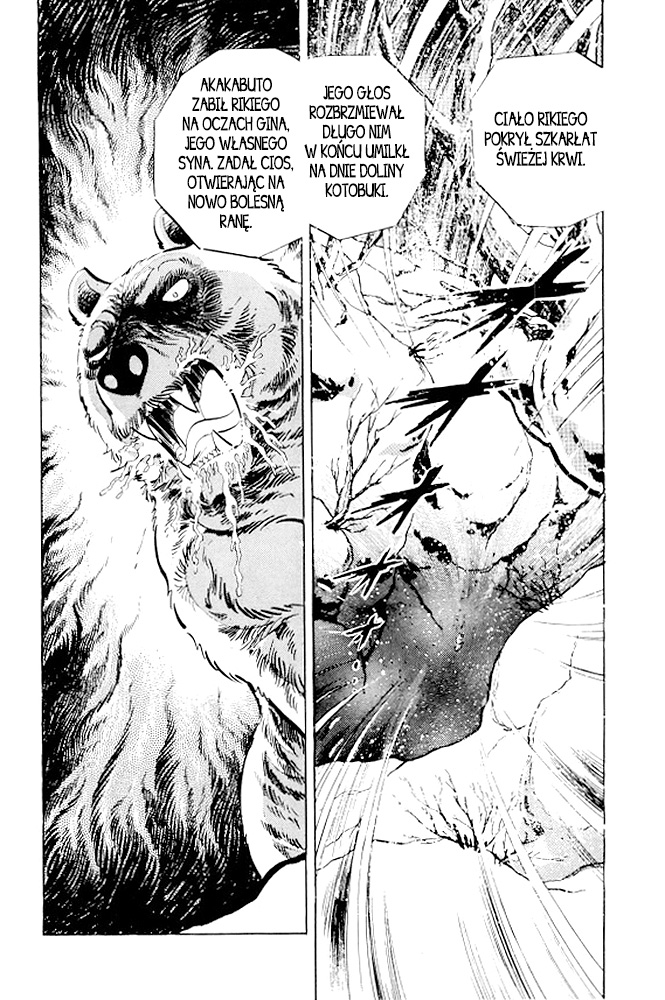 Silver Fang – The Shooting Star Gin – Ostatnie chwile Rikiego! 第67页