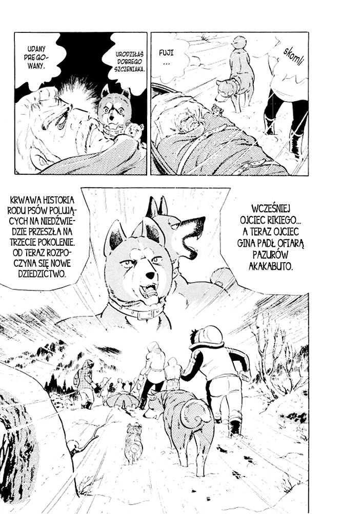Silver Fang – The Shooting Star Gin – Ostatnie chwile Rikiego! 第75页