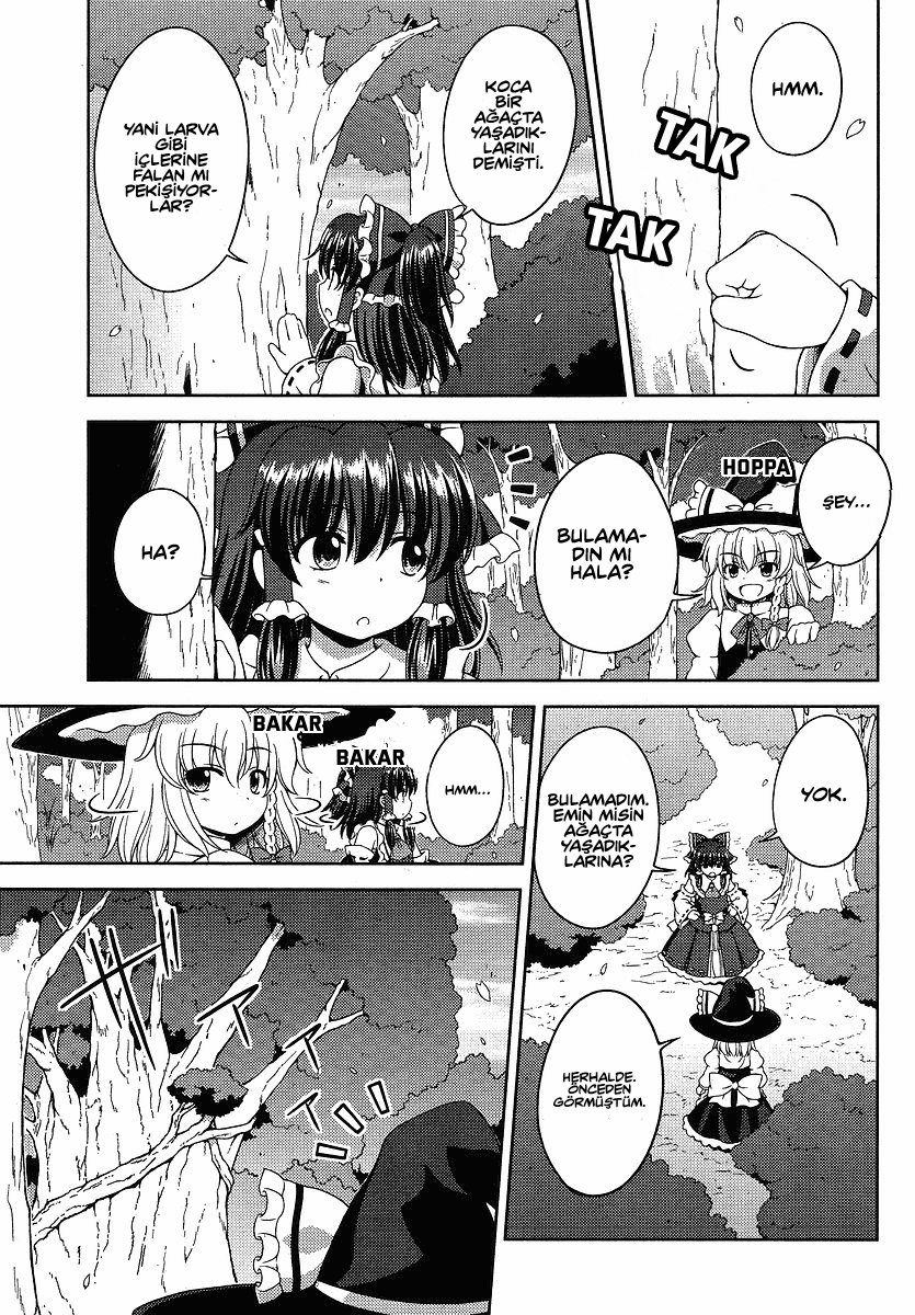 Touhou Sangetsusei ~ Oriental Sacred Place. Bölüm 1: Tapınağın Arkası 第13页