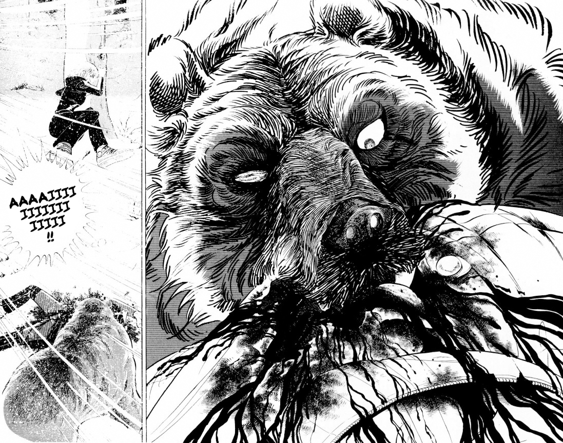 Silver Fang – The Shooting Star Gin – ROĐENJE MEDVEĐEG GONIČA, GINA! 第31页