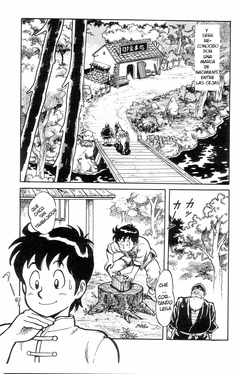 Ironfist Chinmi Chico kungfu Chinmi 第7页