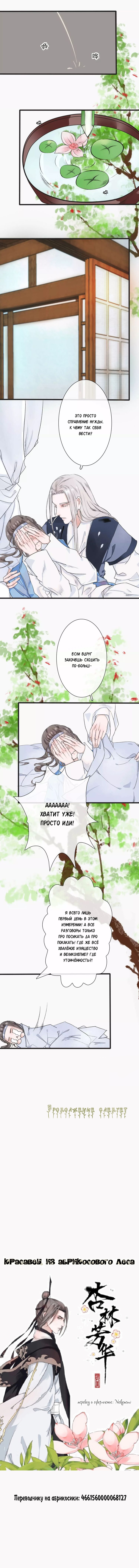 The Beauty of the Apricot Forest Vol. 1 Ch. 3 第5页