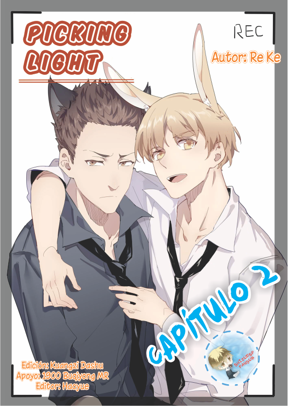 Picking Light PL2 第1页