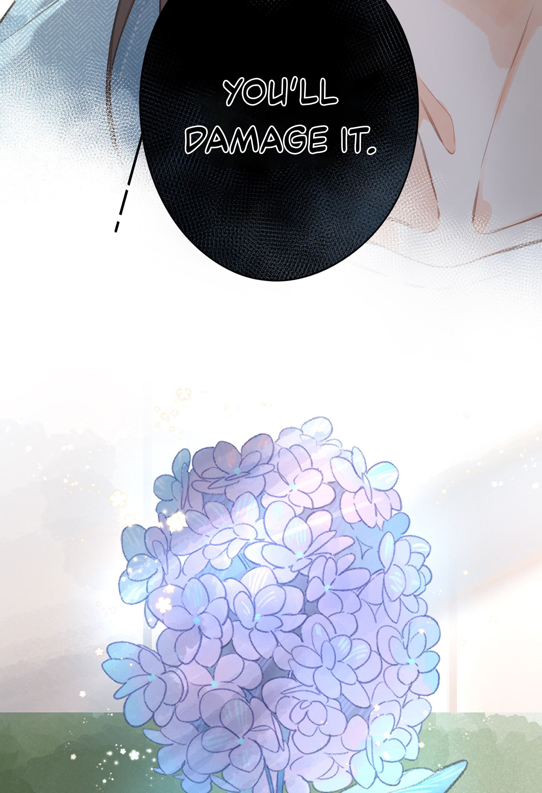 Summer Bloom At The Corner of The Street A Misunderstanding 第3页